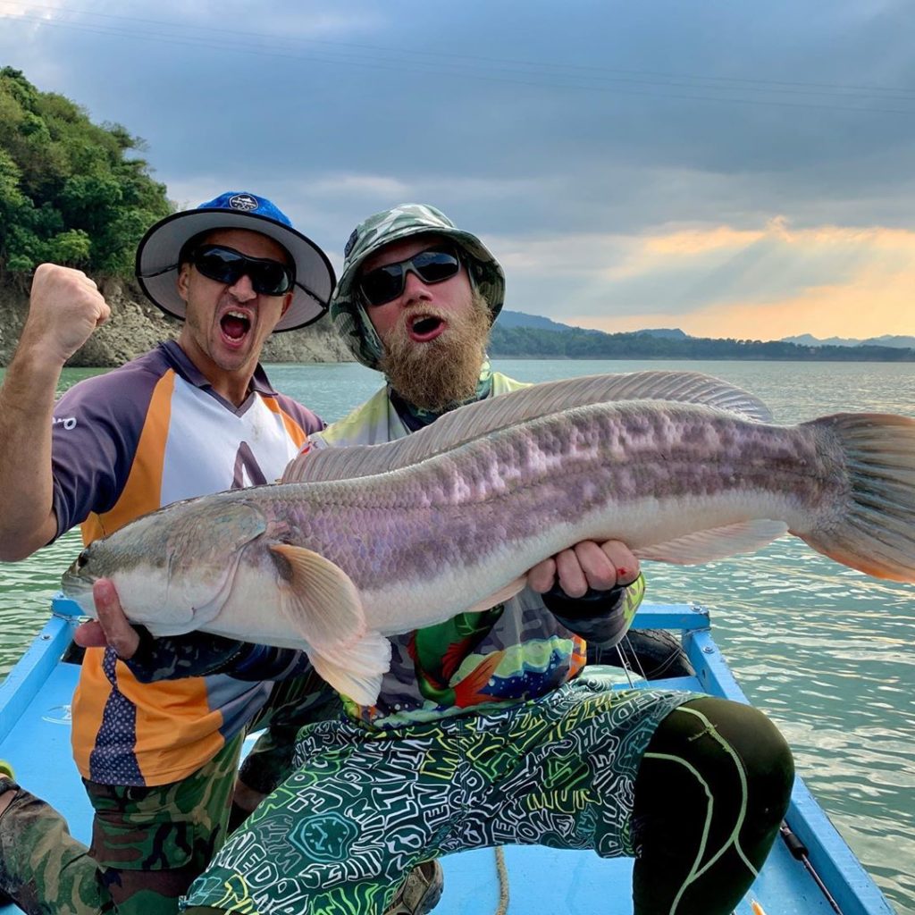 Обновление рекорда! Огромный томанский змееголов! 7кг ровно. PB updated!  Huge toman snakehead! 15.4lb. With @duanesworld82 on Tsengwen. Bait by  @crazy_fish_official Nimble 5” and @snastigood weight. #fishing #рыбалка  #釣魚 #trophy #трофей #toman ...