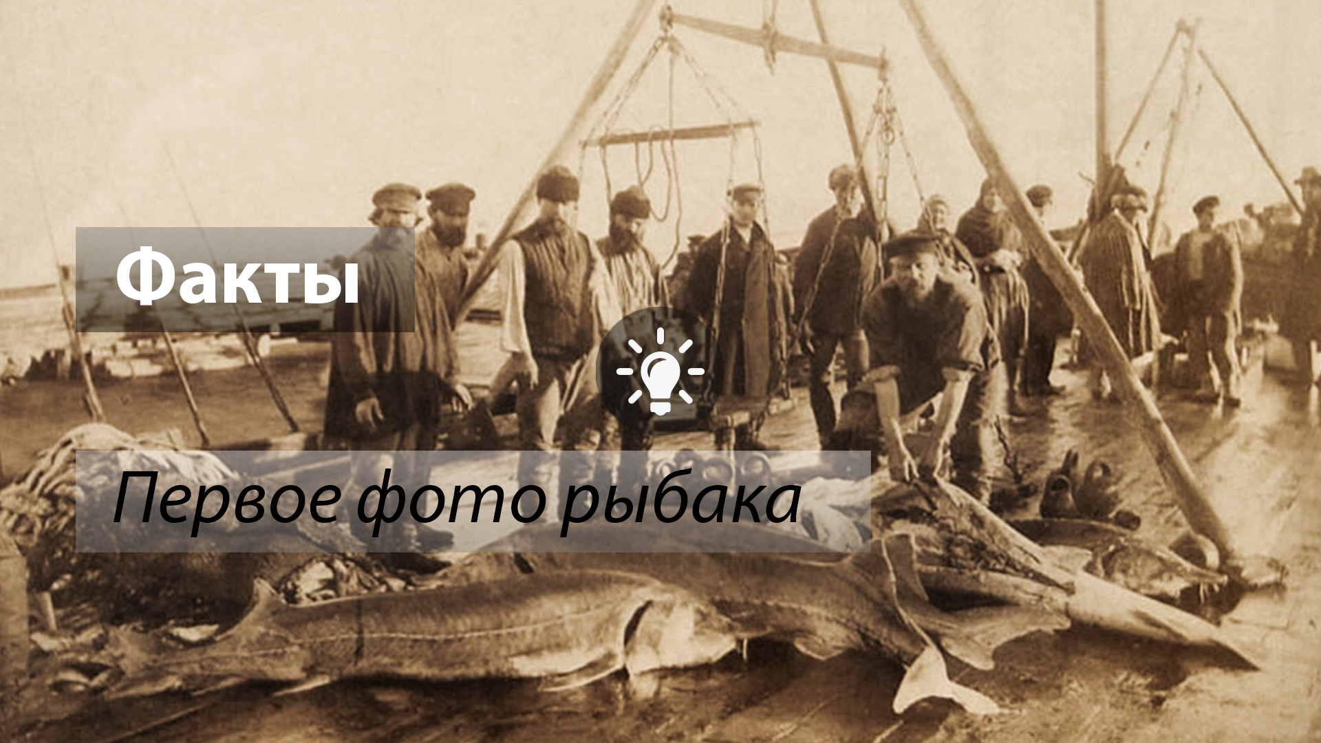 Промысел 20. Астрахань рыбный промысел 19 век.