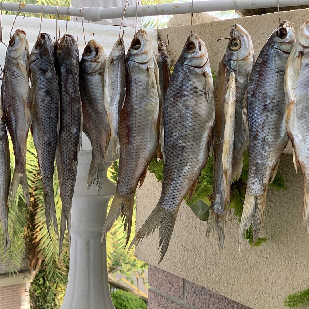 Вяленая рыба с последнего видео. Уже почти готова. Dry fish caught in latest video. Almost ready.