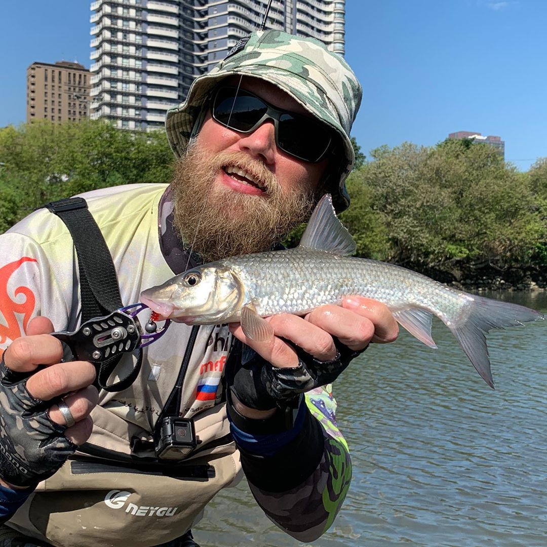 Нормальненький губарёк. Микроджиг по новым местам. Приманка от @snastigood Good size Amur barbel. Scouting new spots.