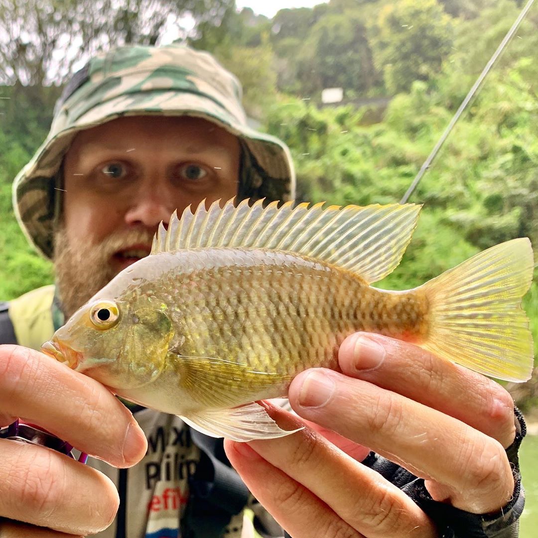 Лазим по микро речкам, ловим микро рыбу. Climb on creeks, fishing for small fishes.