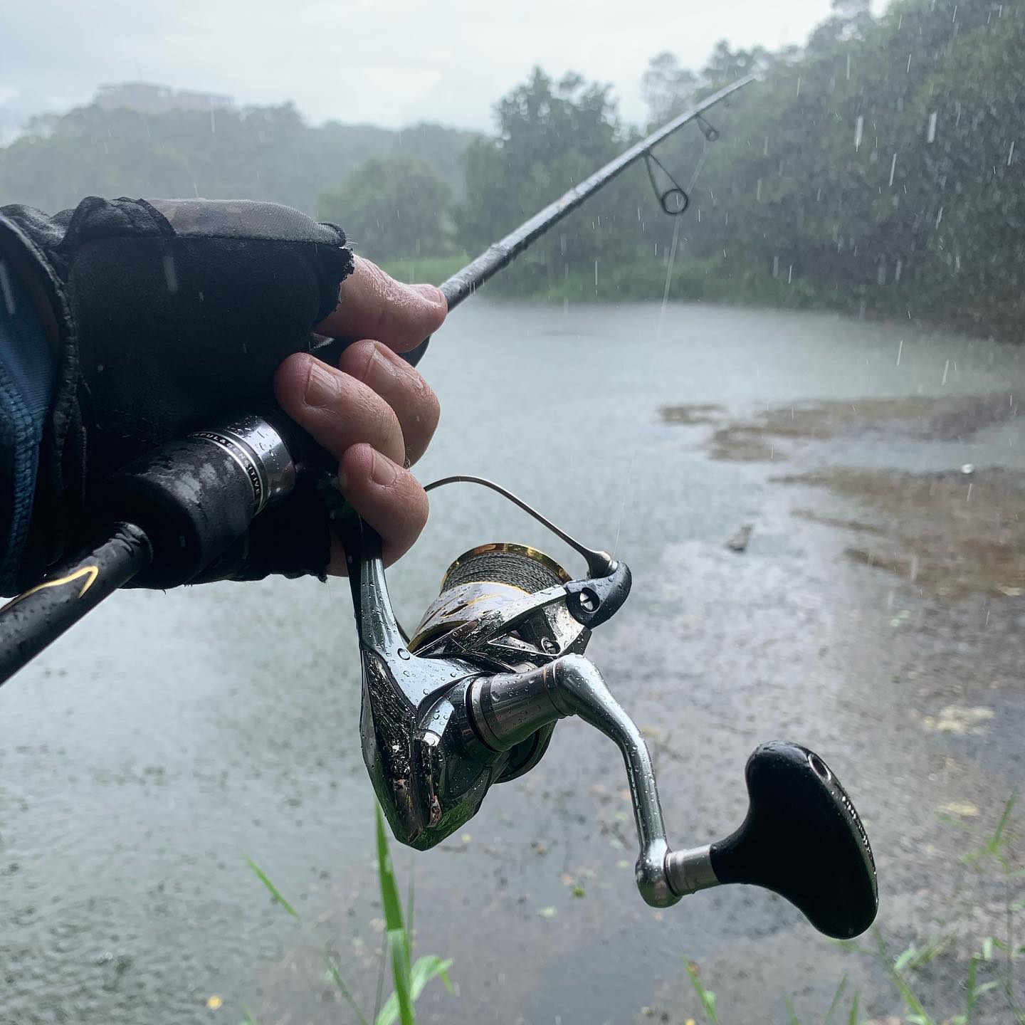 Ливень рыбалке не помеха! Torrent doesn’t bother to fishing!