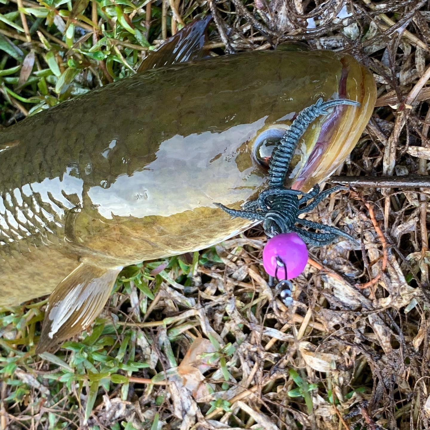 Приманка огонь! @dimychaxenti Incredible handmade softbait!