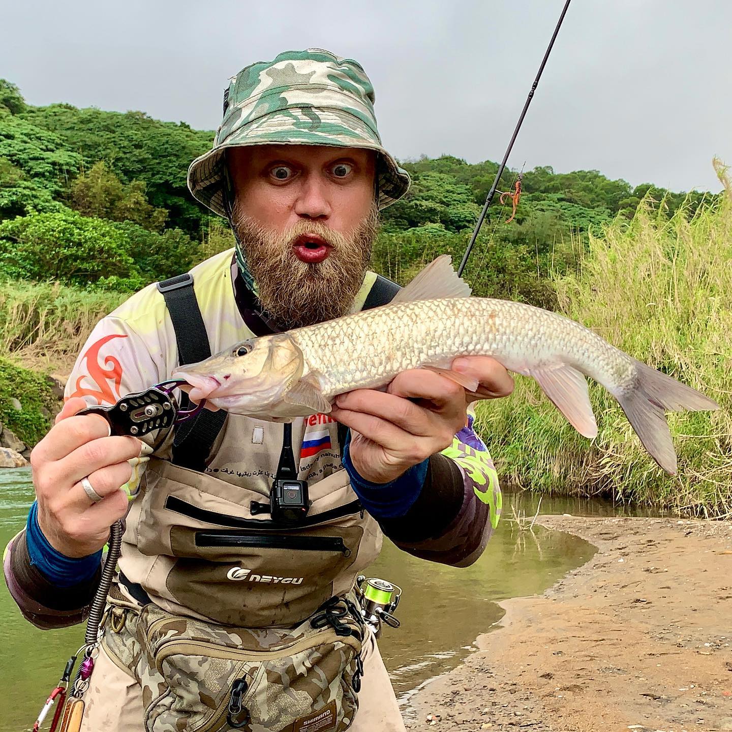 Хорошего размера конь-губарь влетел на джиг! Good sized Amur Barbel on swing jig landed!