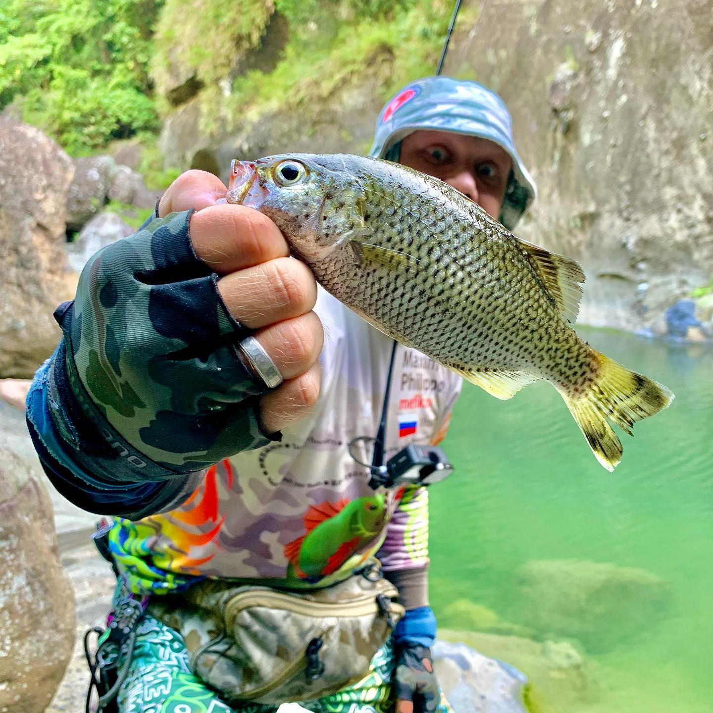 Окунь джунглей в джунглях. Jungle Perch in jungles.