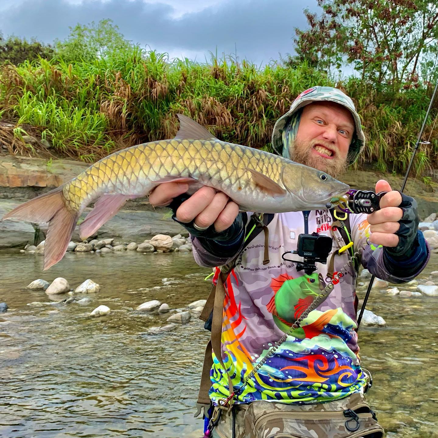 А это уже хороший трофейчик! Сложно конечно, клёва совсем нет. That the good sized trophy mahseer! But quite hard, almost no bites. 釣魚