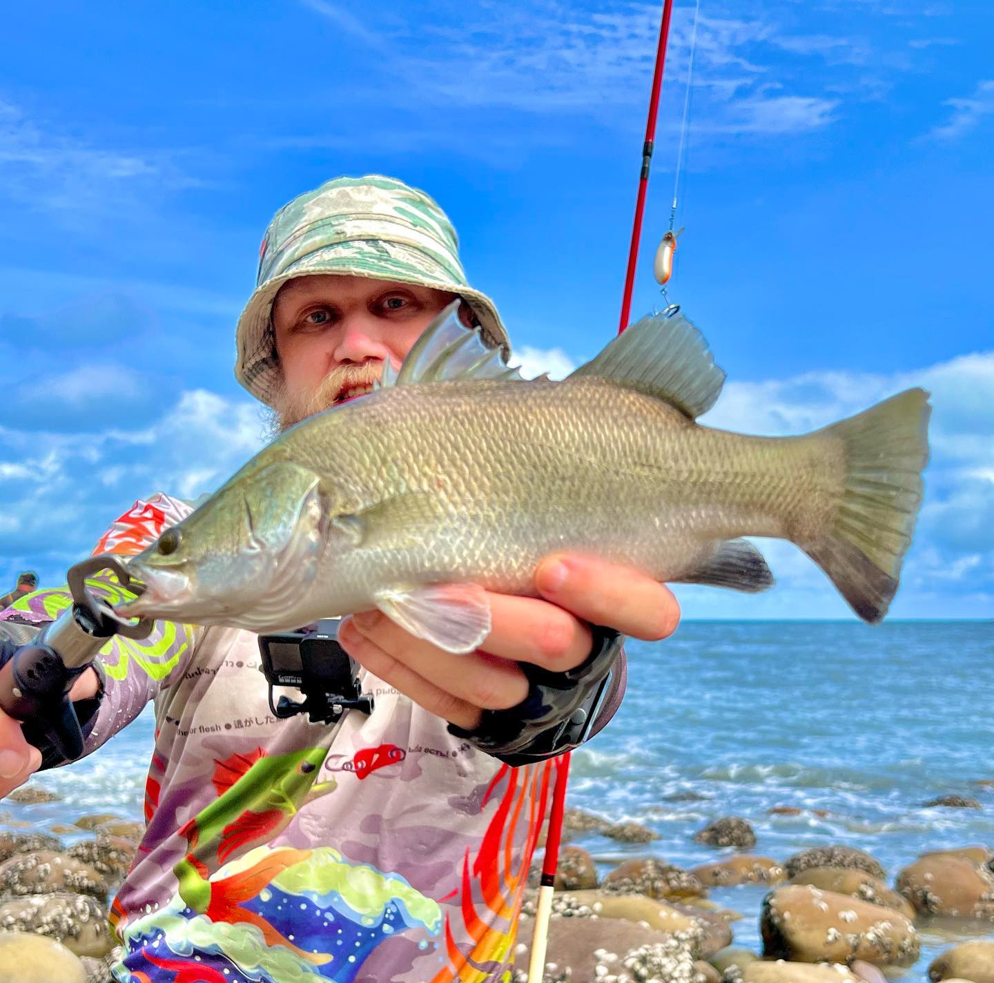 Wild barramundi! Found good spot with huge school of them. Seashore fishing!!!