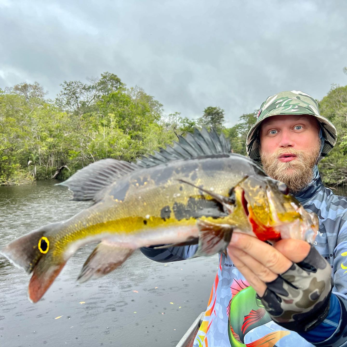 New specie caught! Cichla Monoculus Lat. I’m still landing some day per day.