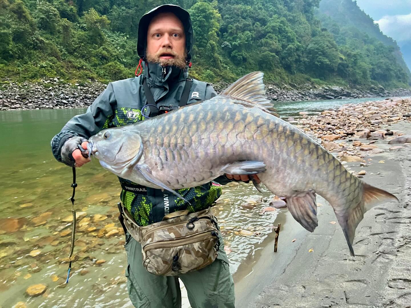 Chocolate Mahseer for 12.4kg. And two Golden Mahseers for 10.6kg and 14.2kg. Arunachal-Pradesh. India. Subansiri river. @finntrail.rybalka