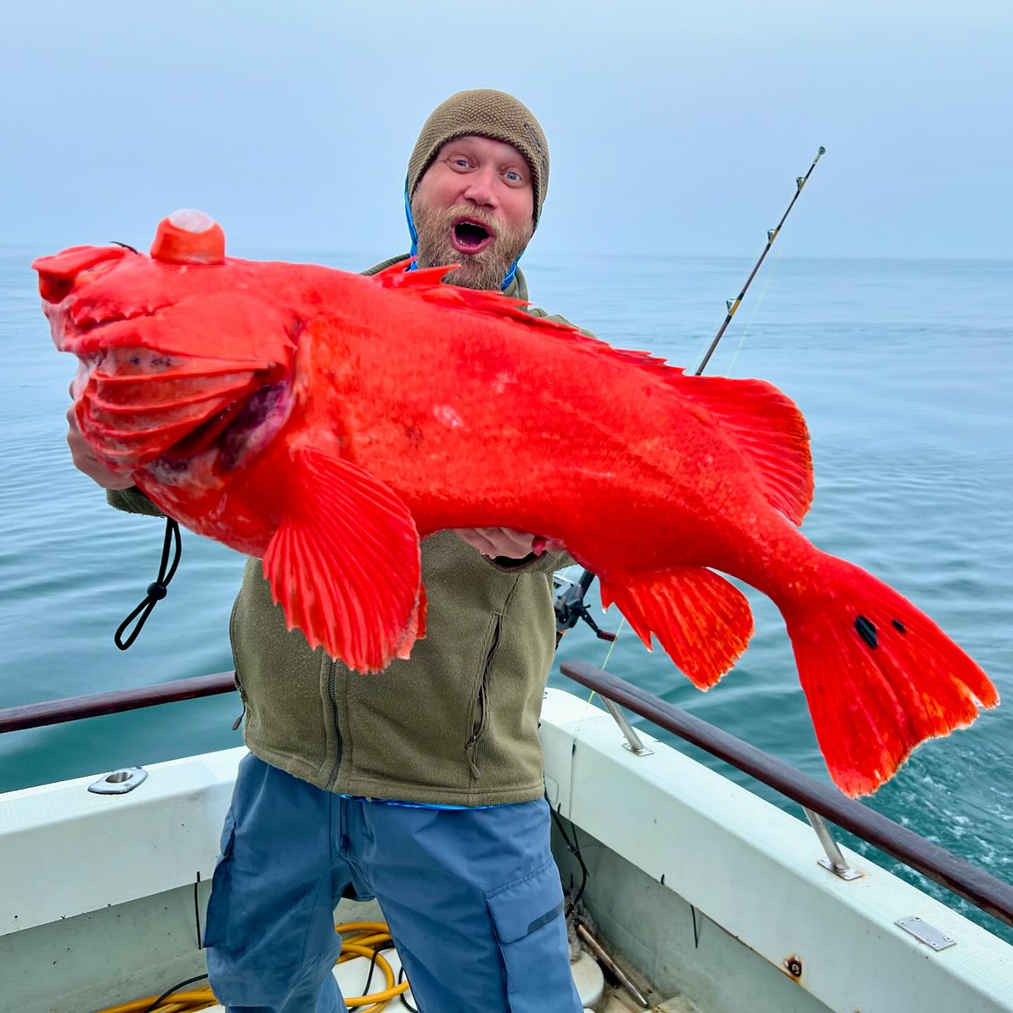 New specie alert! Deepwater red perch. Fishing at 340-400m deep. Done!