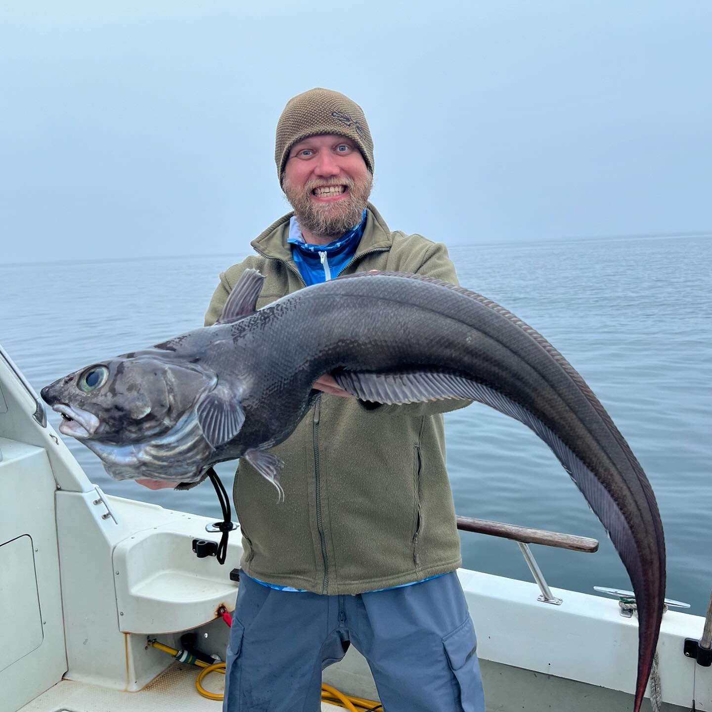 New specie alert! Macrourus. Deep benthopelagic fish which can easily let go back! It have meat like jelly, huge eyes and sharp teeth.