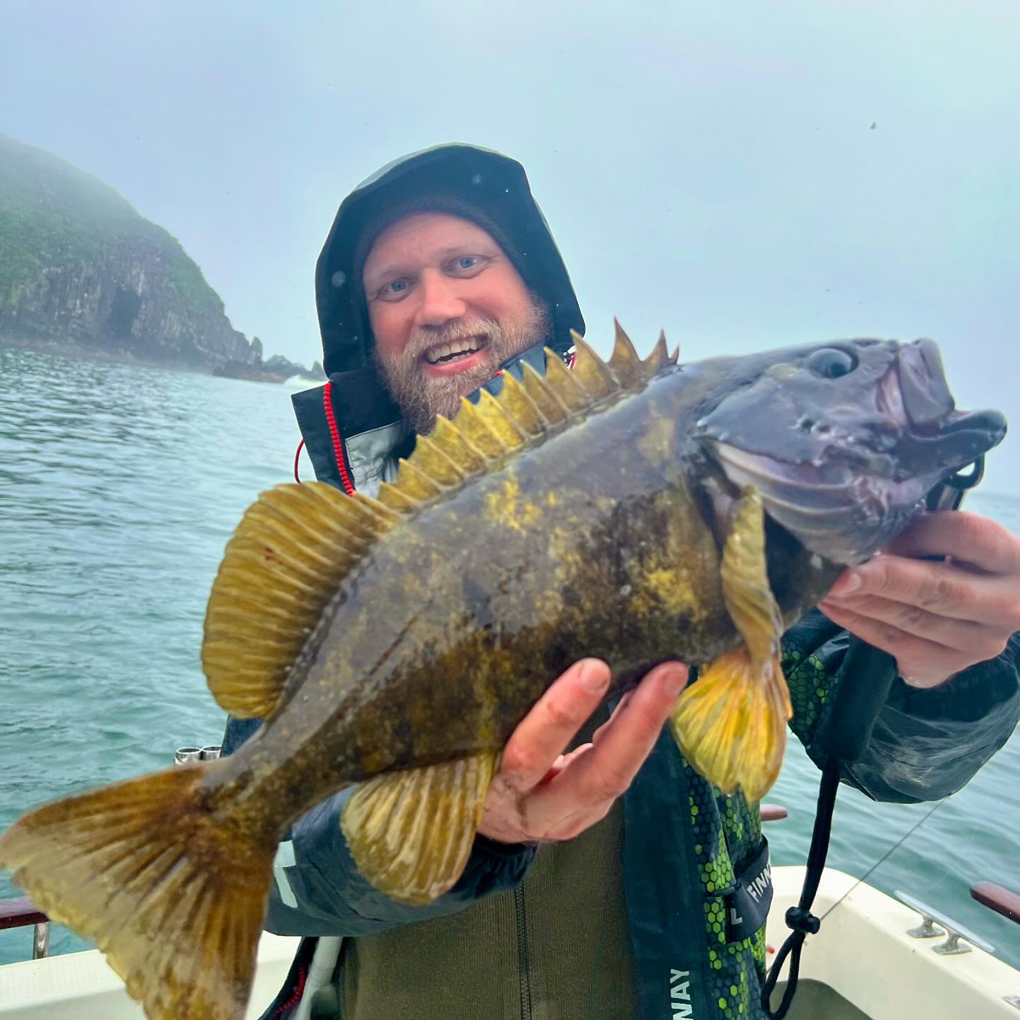 New specie alert! One of most interesting rockfish to catch near Kamchatka. Called Blue Rockfish, because looks blue in water and become yellow-brown after landing. Grows up to 3kg and habitat near to the riffs, at the 15-30m deep.