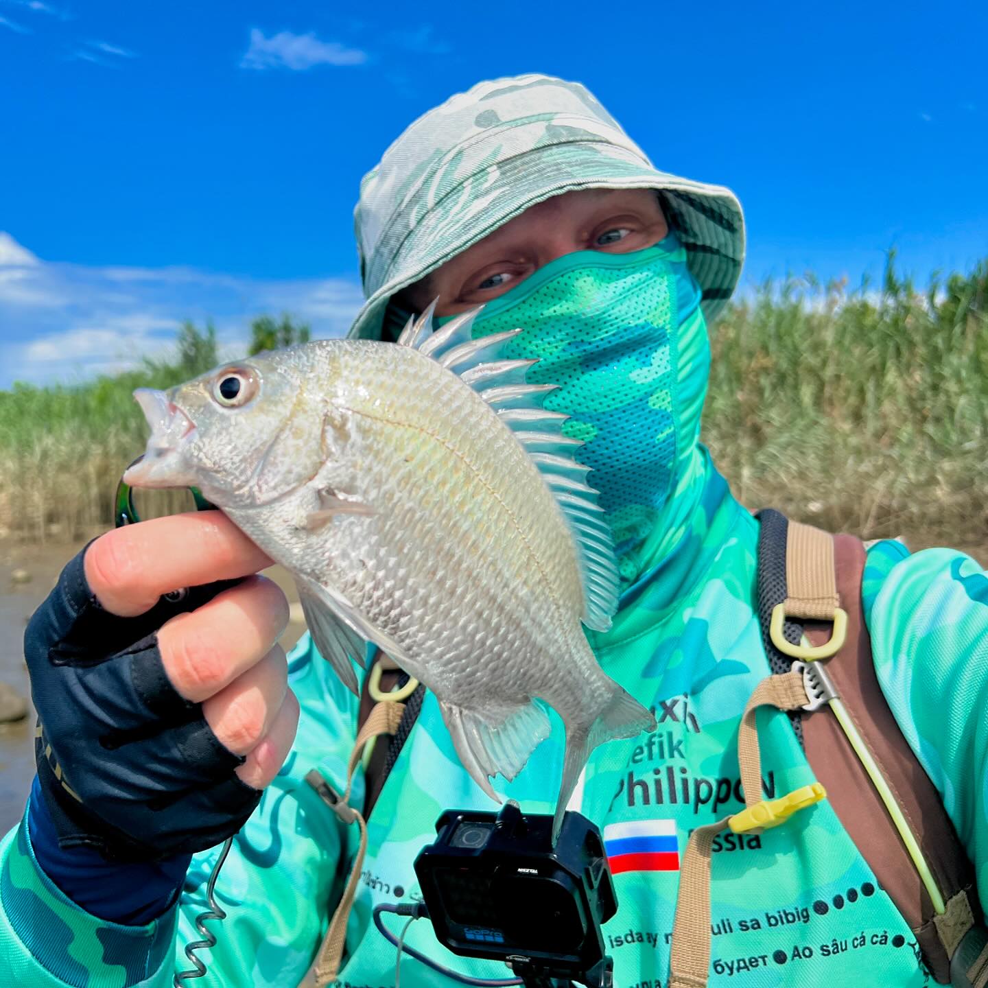 Sea bream biting. Hard. But all of them is small