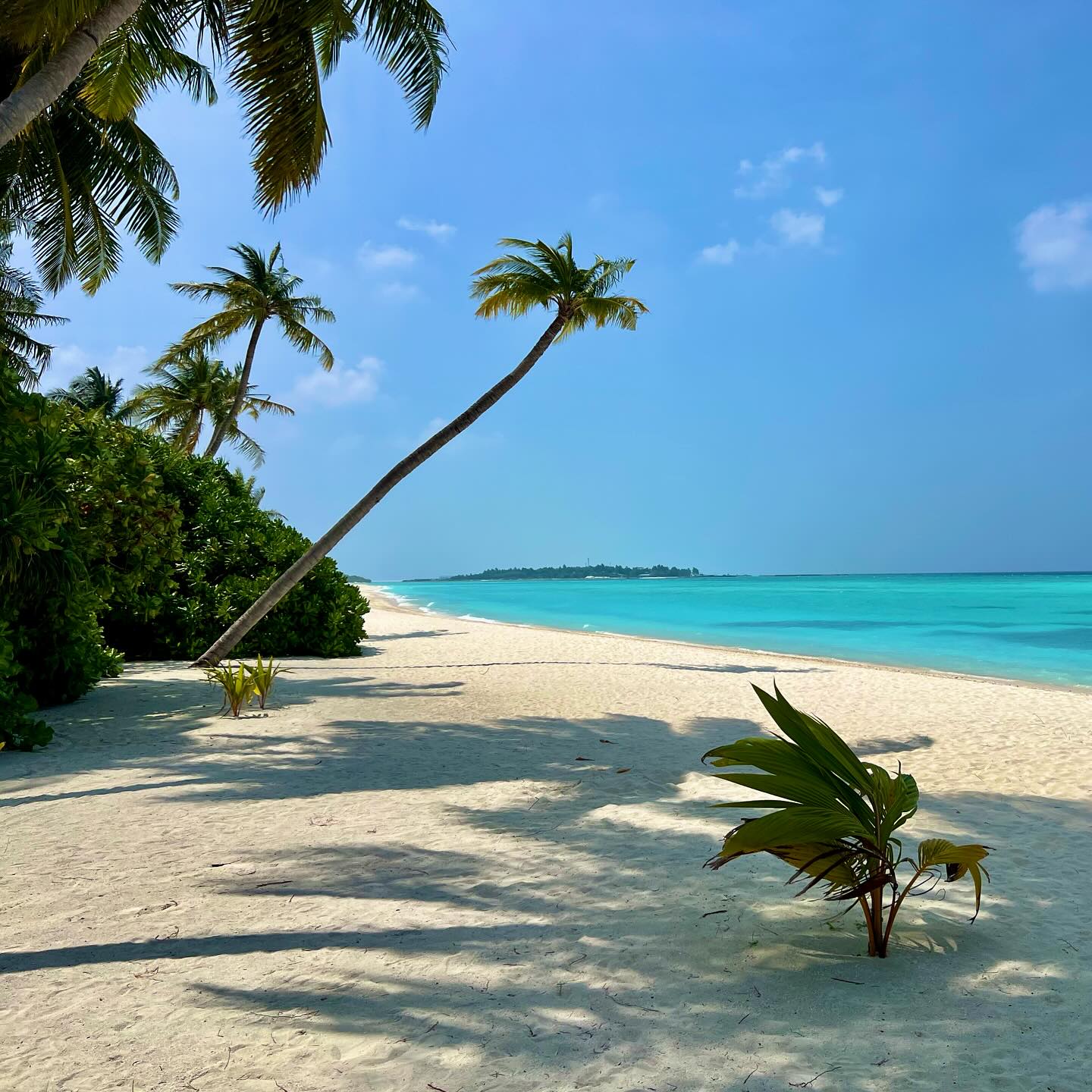 Maldives