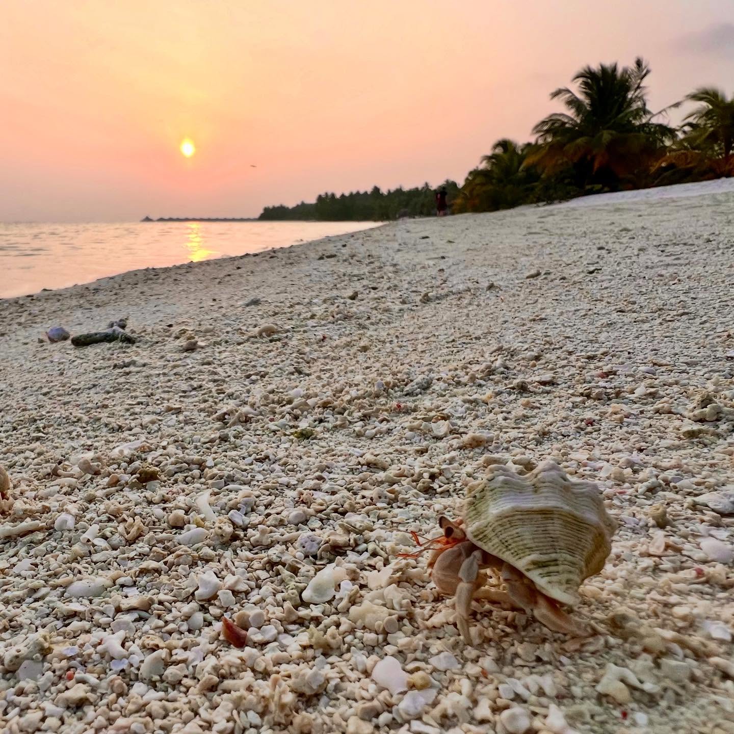 White sands, warm sea, bright colors of nature, what need else? Only fishing!