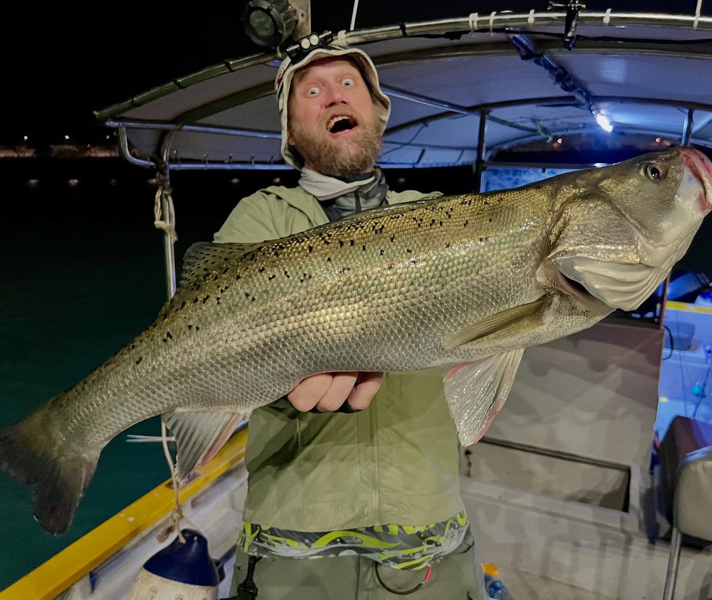 Landed! FINALLY!!! My gosh! How many times I try to catch this specie?! Good sized Japan Seabass fellas!
