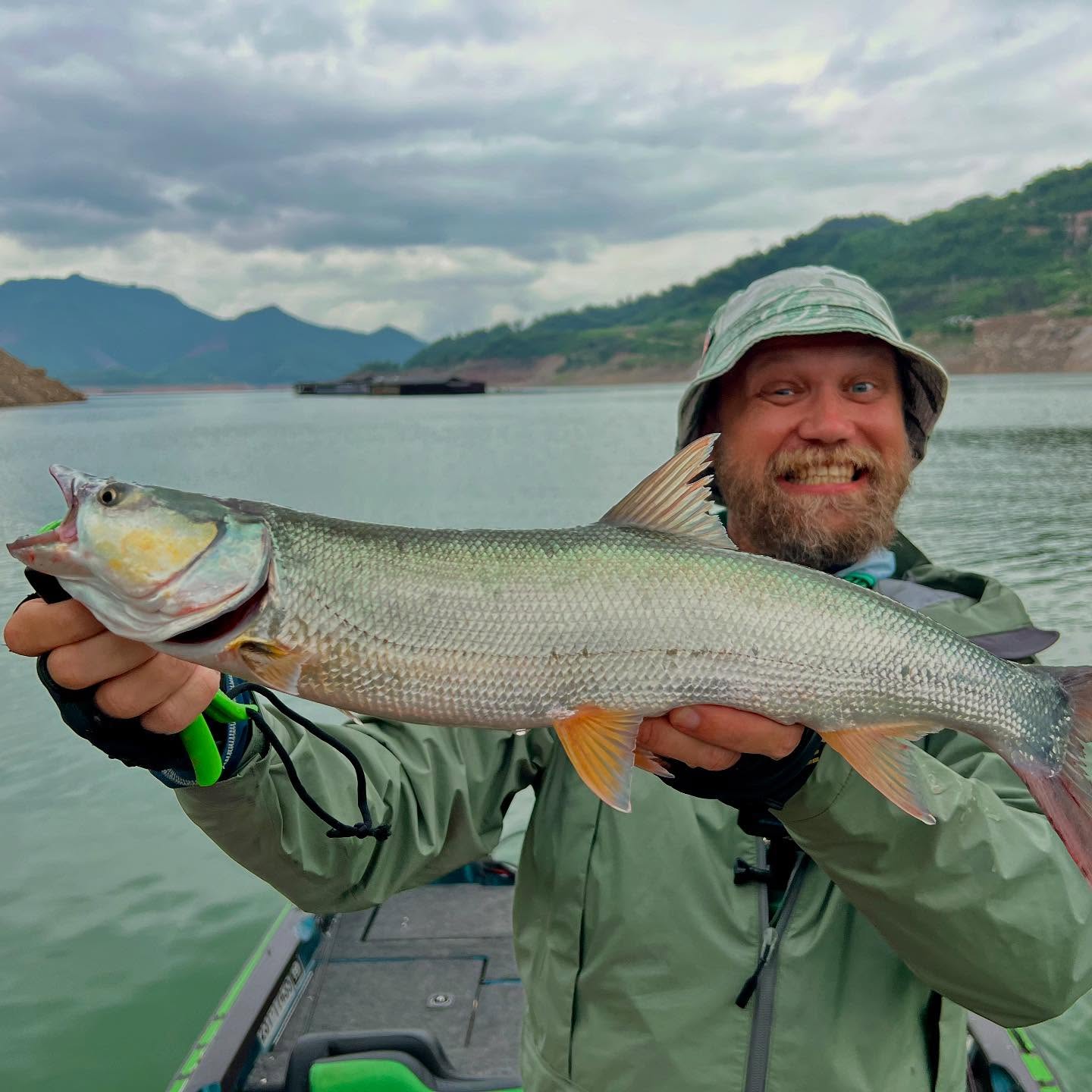 New specie caught!!! Yellowcheek. Lat. Elopichtus bambusa. Good short trip to Vietnam for this predator with @taycaufishing