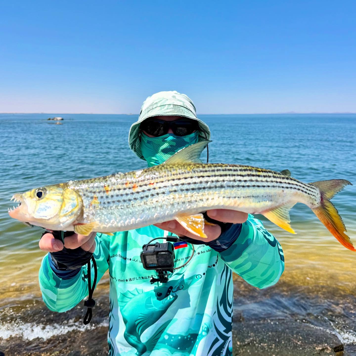 New species alert!!!! Tiger fish. Lat. Hydrocynus forskahlii. So many of them chasing and hit the lure. But really not easy to set the hook. Can land one per twenty. I’ve got!