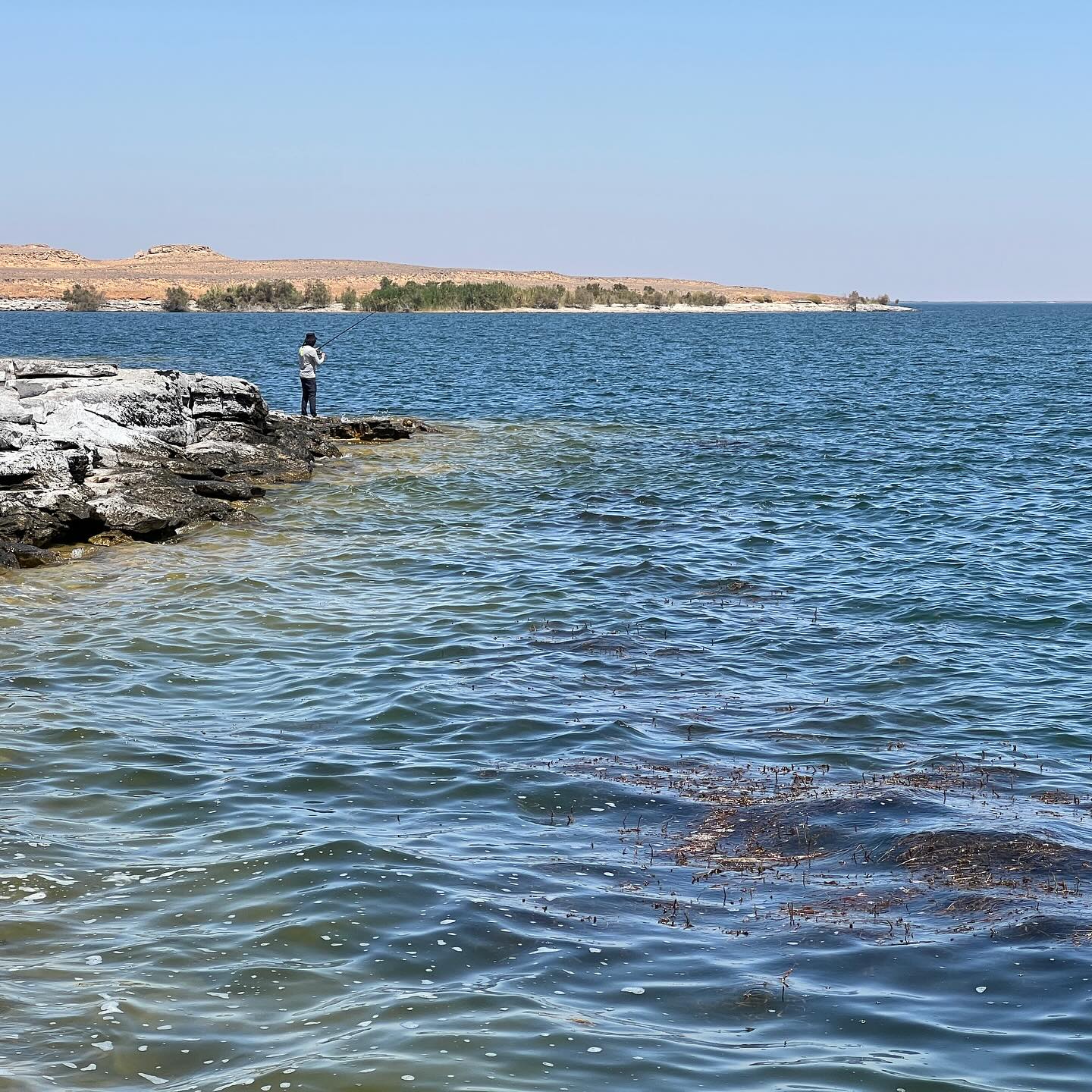 We choose the spots with stones. And stones looks like ledge. Nile perch stay right over the ledge.