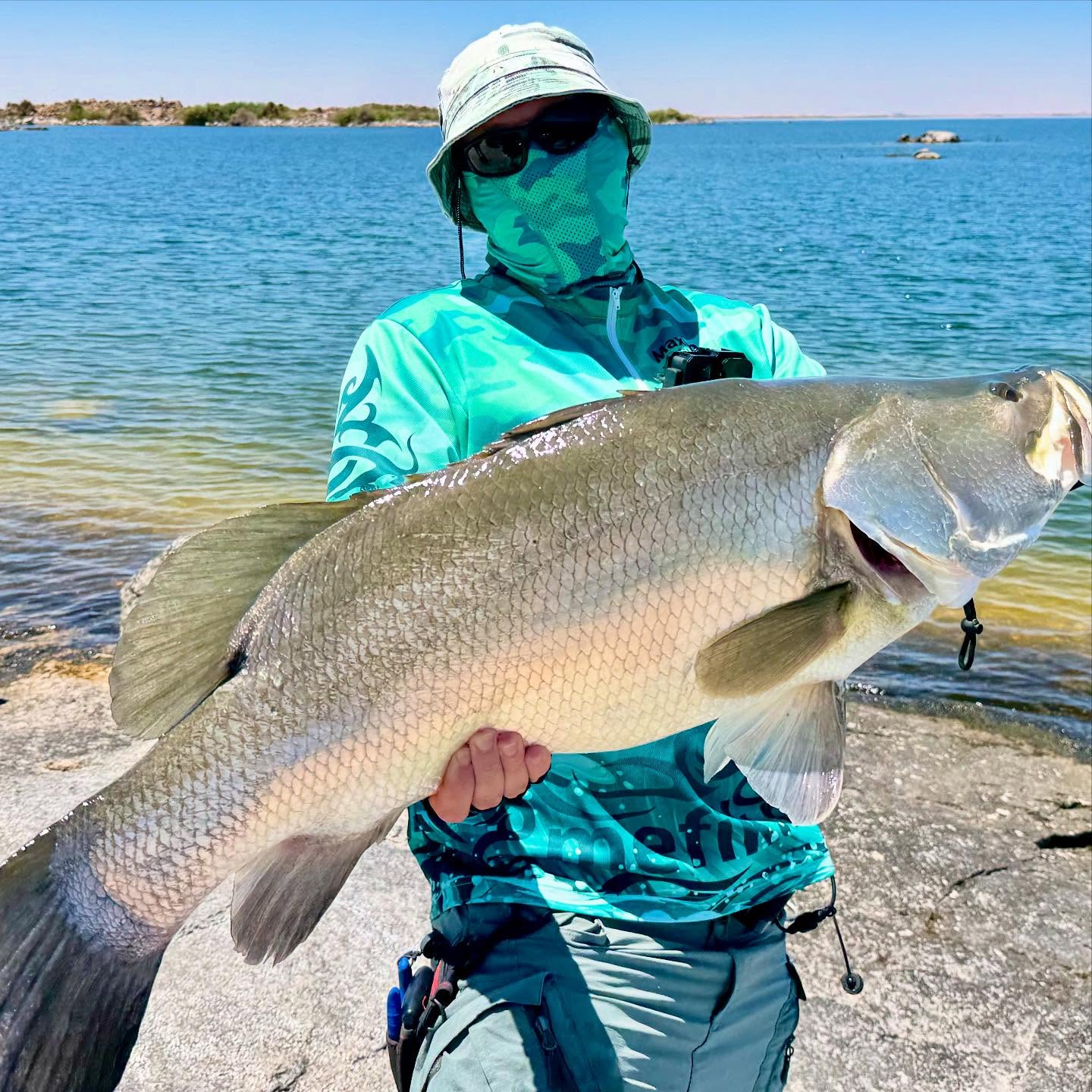 Yesssesss! New species alert!!! Nile perch. Lat. Lates niloticus. Huge fish, jumping like crazy, got spooled few times. Almost 20kg.