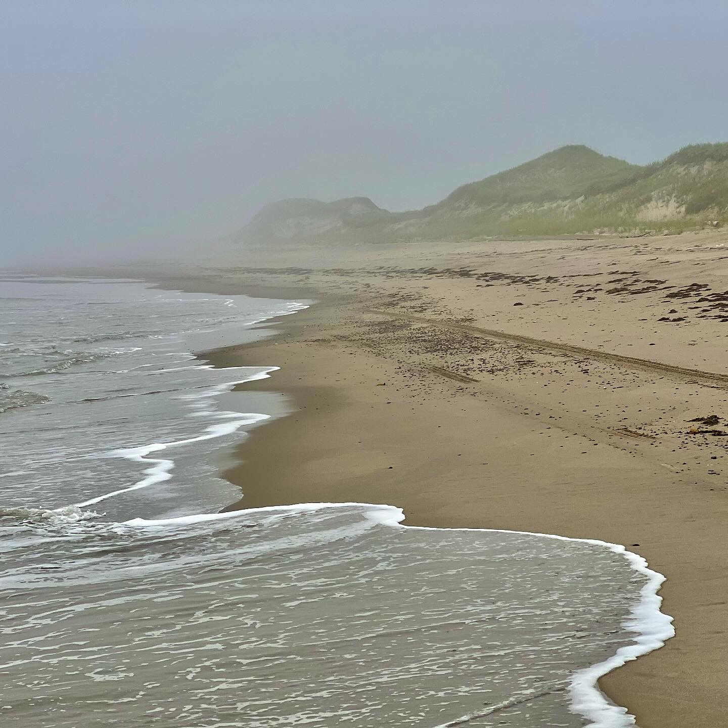 Sea of Okhotsk also gave me many new species of greenlings, ugai, sculpin and one sockeye salmon