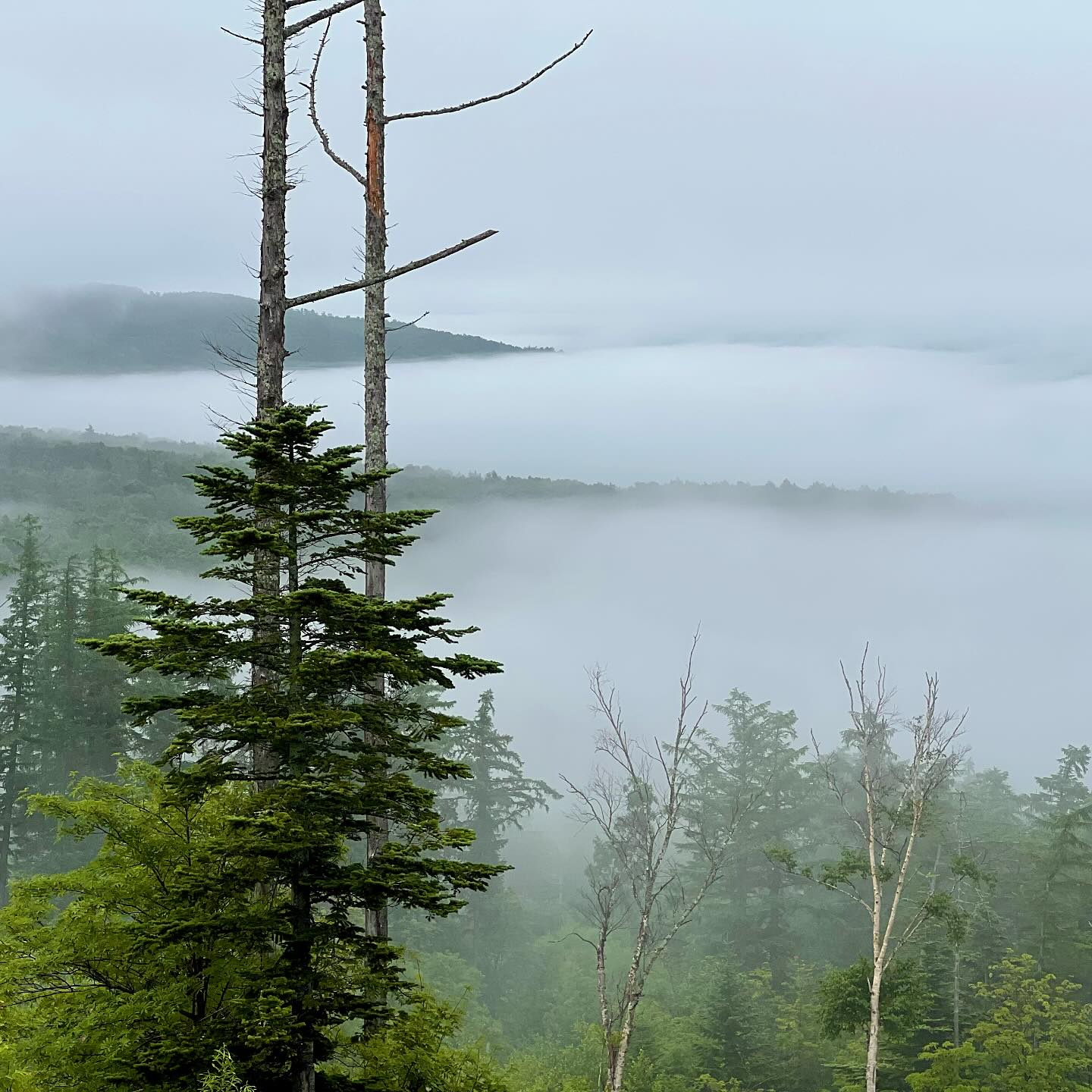 Thanks Sakhalin for the hospitality! That was one of most memorable fishing trip in my life. Currently I’ve got freshwater PB with 27,9kg and carrying on