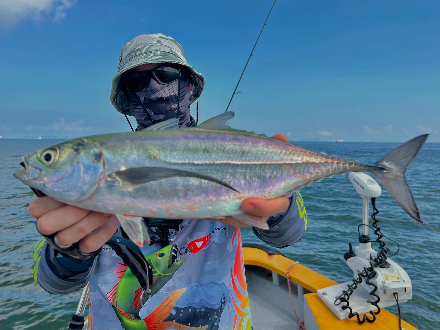 New specie alert! Torpedo scad. Lat Megalaspis cordyla. Thought that is tuna, but when landed I saw that the body is like horse mackerel.
