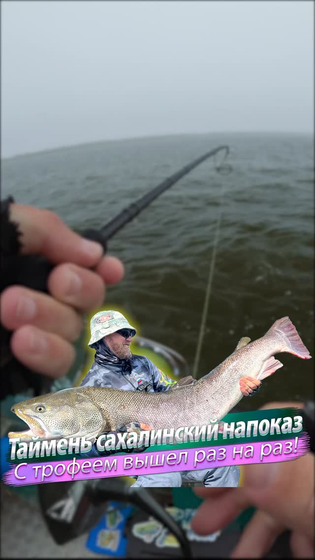 Huge Sakhalin Taimen trophy’s at the Sakhalin island.