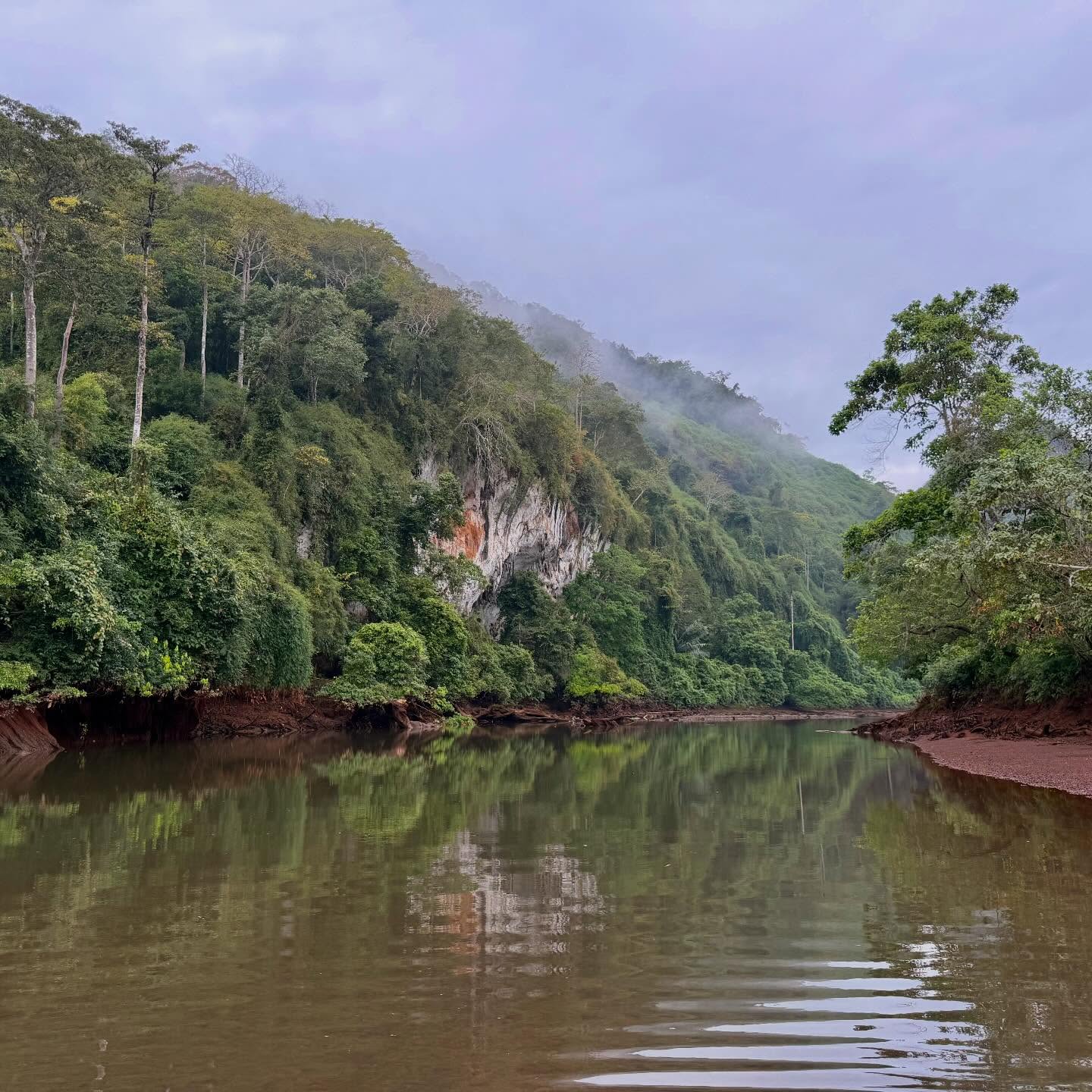 Early morning in the jungle of Thailand, Phrasaeng River. Fish is here!