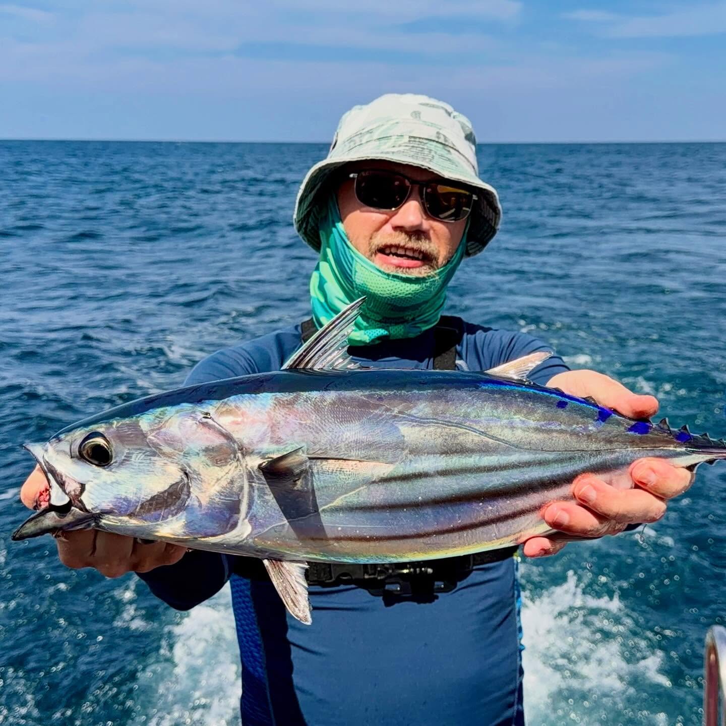 Skipjack for sashimi near Phuket