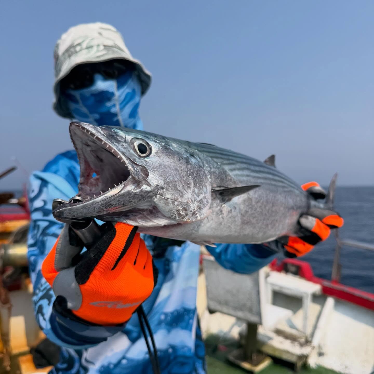 Been a while since I’ve been out on the ocean. Actually… more than a year?! And today was a good trip. Nice bonito landed, hands still remember!!!