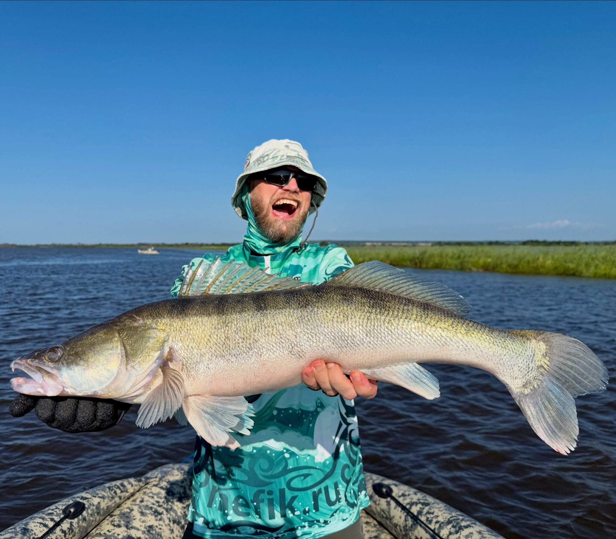 Wow! First evening Amur river fishing! And a new PB for Walleye. 3.1 kg!!!

Although this isn’t Zander, like European pike-perch, it’s an American one, a whitefin or lightfin! Lat. Sander vitreus. I don’t have this species in my collection yet. It’s distinguished by its white lower fins, while the European pike-perch has a slightly white lower caudal fin at the tip.

This is an invasive species for the Amur River. Removal of any length is highly recommended. Where did it come from? During the latest flood, it escaped from cages in China and has proliferated.