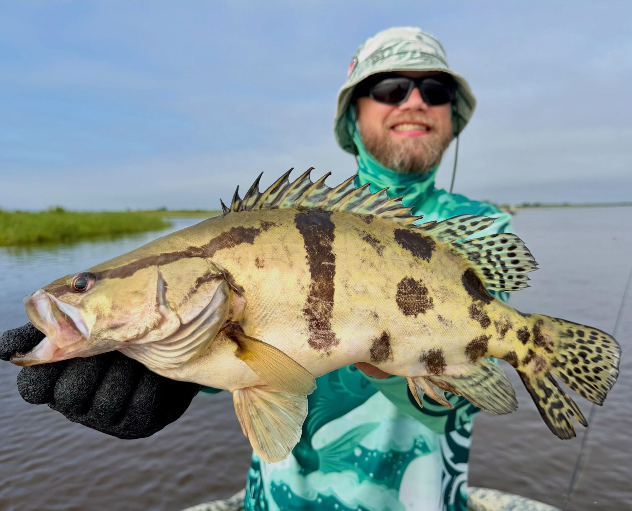 Last fishing day at the Amur river. Hooray, fellas! I got it. Mandarin fish or Chinese perch. Lat. Siniperca chuatsi. Seriously, on the last day. Again, right from under the grass. And the places where it usually lives - rocks, cliffs, bottom structures, etc. weren’t works at all.
By the way, this is the streamer by Leader. Awesome lure.
The expedition was a success, friends! Of course, the list is missing Amur pike, snakehead, and yellowcheek. Pike are almost all in the tributaries at the moment; it’s too hot for them. Snakehead are in the bays, and it’s better to go to Khanka for them. And yellowcheek—that’s for next time, that’s a whole other story.